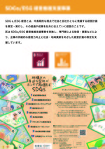 SDGs未来都市13