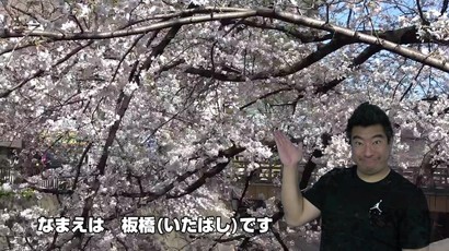 桜と板橋を紹介している写真