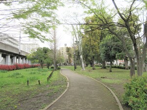 高島平緑地の様子(高島平九丁目)