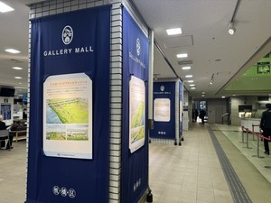 展示様子