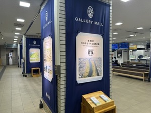 展示様子